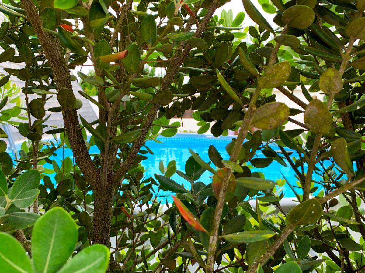 Beachliving Cabana Villa Esmoriz Ngoại thất bức ảnh